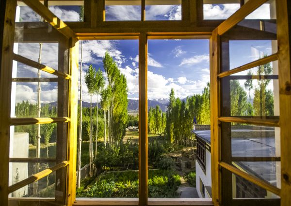 Cost of Wood Window Replacement in San Francisco
