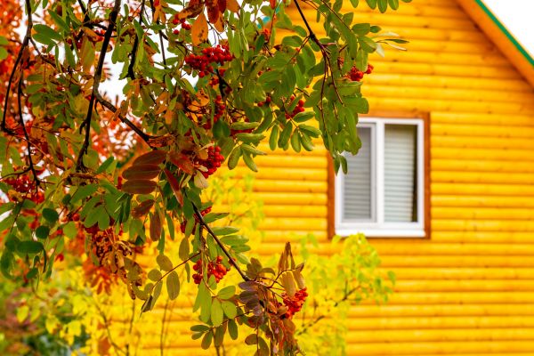 Cost of Garden Window Replacement in San Francisco